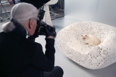カール・ラガーフェルドの愛猫×シュウウエムラのクリスマスコラボ発表