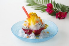【夏休みかき氷特集】エクセルホテル東急--南国気分のトロピカル果実！