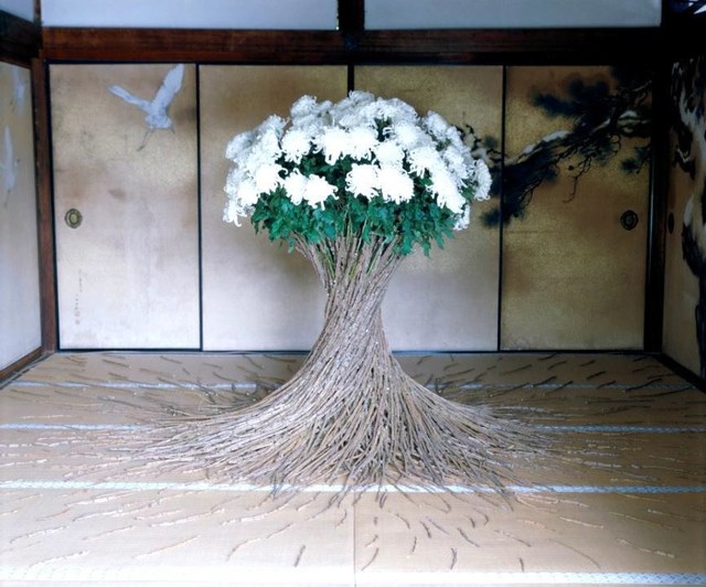 ダニエル・オストが倉敷でフラワーインスタレーション｜Infoseekニュース