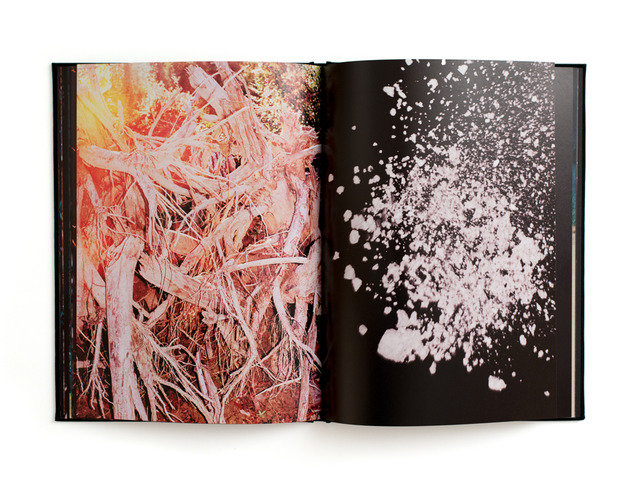 限定300部、絶版した幻のコリー・ブラウンの写真集が復刻【ShelfオススメBOOK】