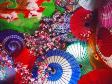 蜷川実花が“京都”と“花街”を撮り下ろした約120作が公開となる写真展が開催