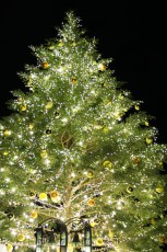 横浜赤レンガ倉庫のクリスマスマーケットがスタート! 高さ10mのツリー、本場ドイツの古都“アーヘン”のムードを味わって