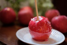 りんご好きによるりんご好きのための「りんご大収穫祭」が代々木ビレッジで開催! 限定メニューやワークショップなど