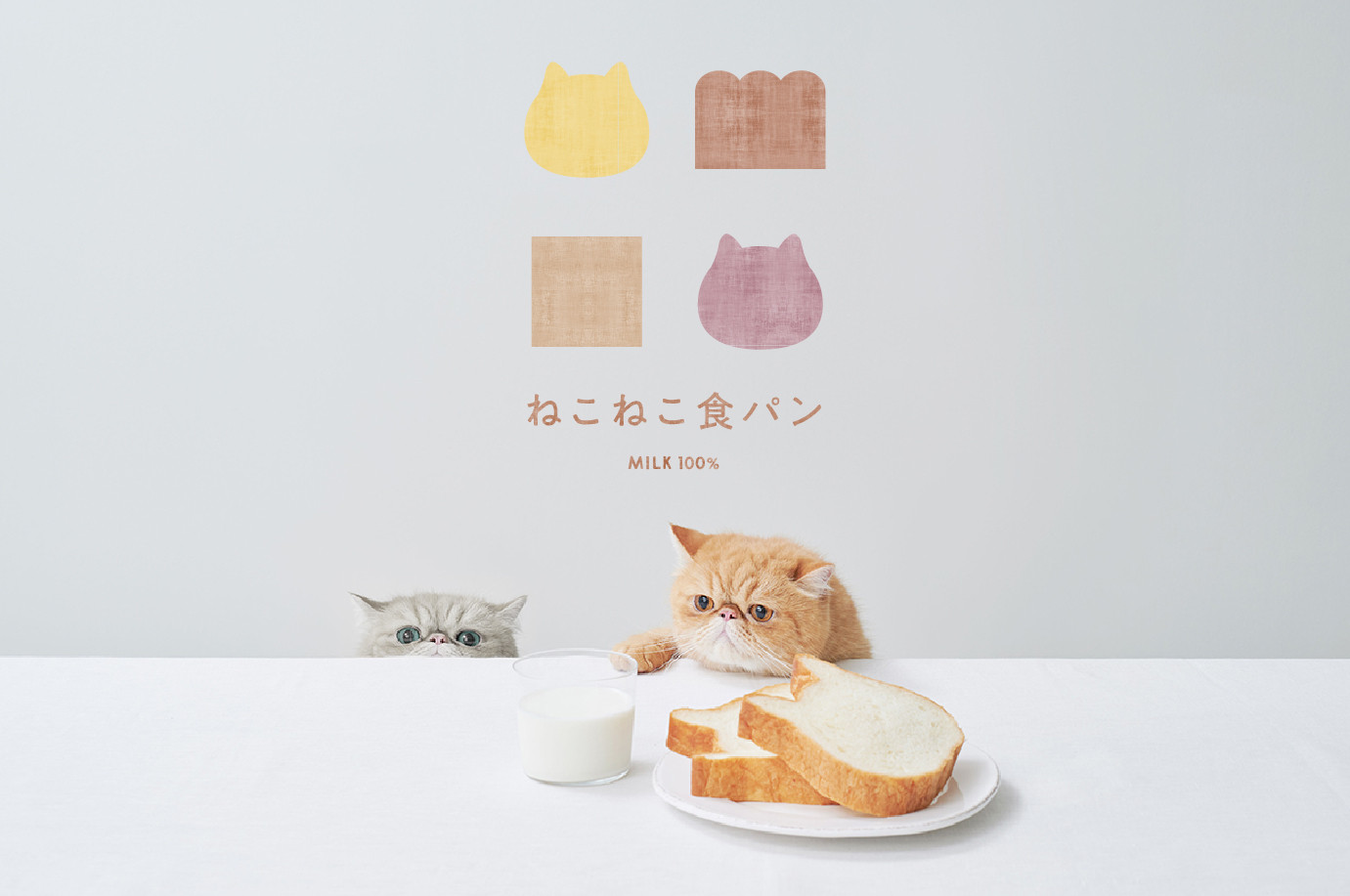 ねこの形の高級食パン専門店「ねこねこ食パン」が神奈川・伊勢原に登場!