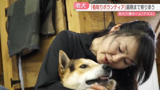 【カメリポ】引き取り手のいない犬に寄り添う「穏やかで楽しい時間を」老犬介護ホームとは　福岡