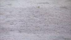 【大雨】山国川上流部に河川氾濫危険情報を解除→注意情報に　引き続き洪水に関する情報に注意を