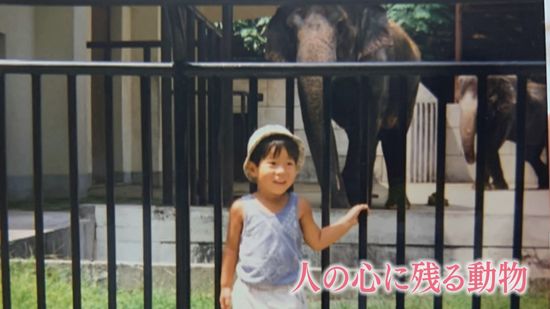 特集「キャッチ」福岡市動物園に7年ぶりのゾウ　たび重なる延期を経て4頭を担当する飼育員　待ち望んでいた少年も