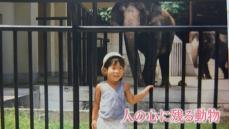 特集「キャッチ」福岡市動物園に7年ぶりのゾウ　たび重なる延期を経て4頭を担当する飼育員　待ち望んでいた少年の夢は