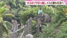 オスのアジアゾウの引っ越し　メスと離れて生活へ　福岡市動物園