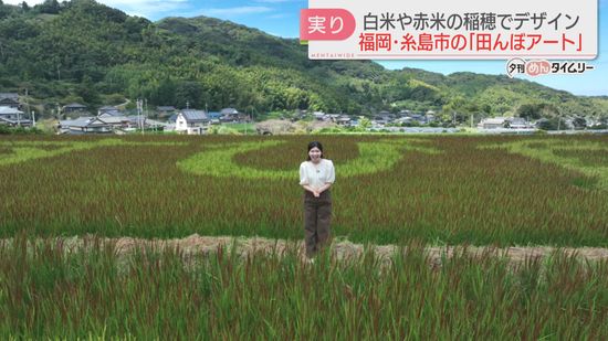 【お披露目】待ち遠しかった新米の季節　恒例の田んぼアートが登場　ことしのメッセージは　福岡　