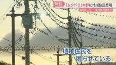 【被害】ムクドリの大群が駅周辺に　鳴き声とフン害に住民は悲鳴　都市部に増えた理由は　福岡