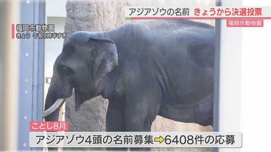 【福岡市動物園】アジアゾウの名前　12日から決選投票　急死のゾウにも名前つける　