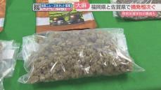 「茶葉を装い」大麻1キロ・末端価格500万円を密輸入した疑い　ベトナム国籍の男ら4人を逮捕　福岡