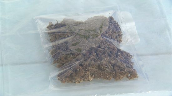 営利目的で大麻を所持した疑い　特別支援学校の臨時職員を逮捕　買ったとして知人の会社員も逮捕　佐賀