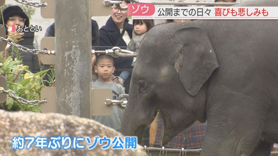 【全面公開】7年ぶりのゾウ　坂を上り下り・母乳を飲む子ゾウ　初めてゾウを見た2歳は　福岡市動物園