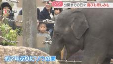 【全面公開】7年ぶりのゾウ　坂を上り下り・母乳を飲む子ゾウ　初めてゾウを見た2歳は　福岡市動物園