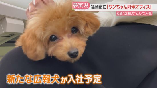 愛犬と一緒に出社できるオフィス　ドッグフードの会社が実現　6頭を「広報犬」に任命　福岡