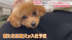 愛犬と一緒に出社できるオフィス　ドッグフードの会社が実現　6頭を「広報犬」に任命　福岡