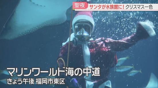 飼育員サンタが魚にエサのプレゼント　24日と25日は夜の水族館いかが　マリンワールド海の中道