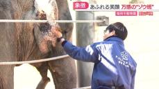 特集「キャッチ」福岡市動物園に7年ぶりのゾウ「最初は全く無視」受け入れから全面公開まで「ゾウ班」の奮闘