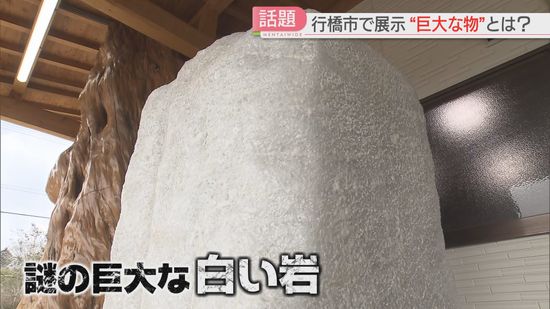 倉庫で5年間「塩漬け」されていた巨大な白い岩　行橋市で展示が始まる　その正体は