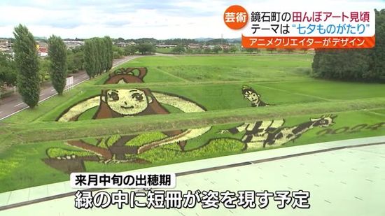 「2度楽しめる」鏡石町の田んぼアートが見ごろ…テーマは「七夕ものがたり」　福島