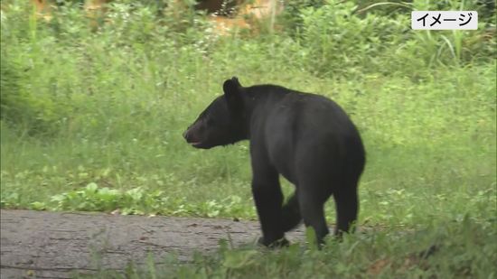 福島市ではサイクリングロードのすぐ近くに熊が…自転車の人が目撃・福島県