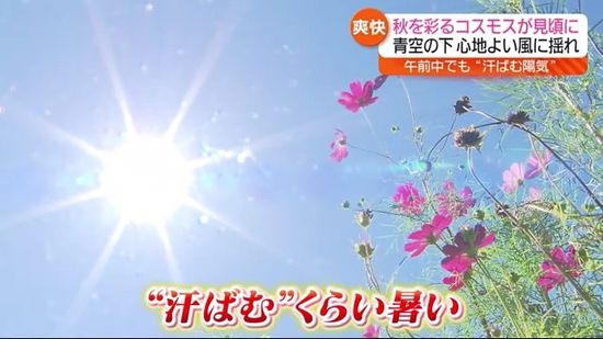 伊達市で32.6度！10月の観測史上最も暑い日に　福島県の13地点で記録塗り替え