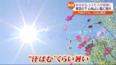 伊達市で32.6度！10月の観測史上最も暑い日に　福島県の13地点で記録塗り替え