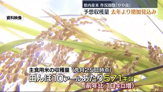 天候に恵まれ福島県内で収穫された新米の量は平年比「やや良」に