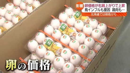 福島県内でも確認「鳥インフルエンザ」たまごに鶏肉の値段はどうなる？