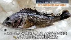 県漁連は11月にもクロソイの水揚げ再開方針…福島沖は全ての魚種出荷へ