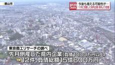 11月の福島県内の企業倒産は12件と前年の2倍に増え、震災後最多に