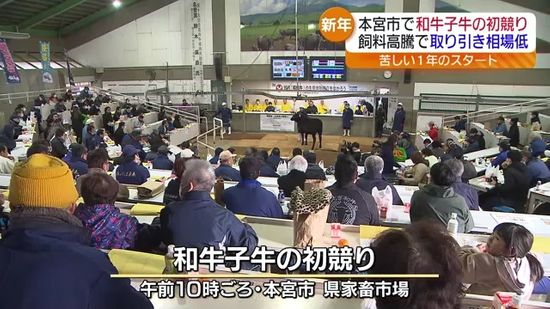 1頭あたり約60万!福島県内で飼育された子牛の初競り　前年よりアップも…