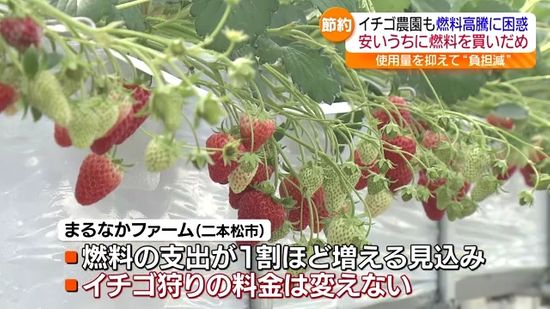 ガソリンと同じく値上げ見込みの重油　今が旬“イチゴ”の生育にも影響　福島県