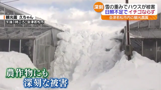 農作物や大きく壊れた住宅…宿泊施設も　今季最強寒波による大雪　福島県内に大きな影響