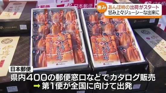 最高のでき」甘み十分の“あんぽ柿”が全国へ・福島｜Infoseekニュース