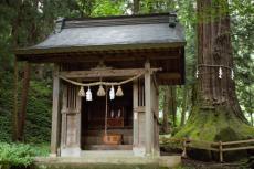 【素朴な疑問】神社のおさい銭は非課税？ どんな風に使われる？