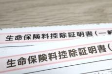 年末調整に必要な「保険料控除証明書」はいつごろ届く？ 届かなかった場合はどうすればいい？