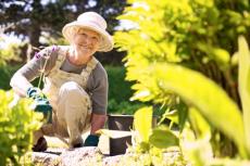 60歳以上で働きながら受け取れる在職老齢年金！ 減額の上限額が緩和ってどういうこと？