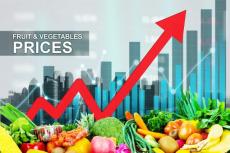 レタスが前週比114円、ねぎ56円の値上がり【野菜価格の全国調査 1月11日公表】