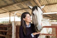 月550円の出資で「馬主」になれる！ 一口馬主の仕組みや馬主を募集しているグループを解説！