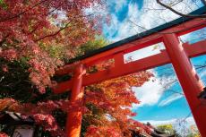 祖母が「厄年だから神社へ行け」としつこいです。今年「大厄」なら行ったほうがいいですか？ 神社にはいくら渡せばいいでしょうか？