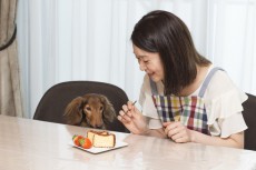 主役は“お犬様”　ペットビジネスはここまで来た