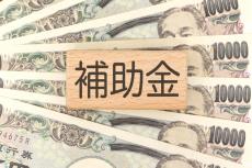 30代で手取り18万円。毎月ギリギリの生活をどうにかしたいです。生活保護に頼る前に、お金を借りられる公的な制度はありますか？