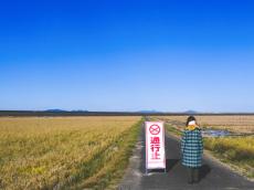 自宅庭の工事で、業者の車が道路をふさいでしまった&#8230;！ご近所にも迷惑がかかると思うのですが、法的に問題ないのでしょうか？