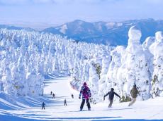 「雪山をなめるなよ」社員旅行で遭難…アラフォー男が危険な場所へ自ら入った“イタすぎる”理由