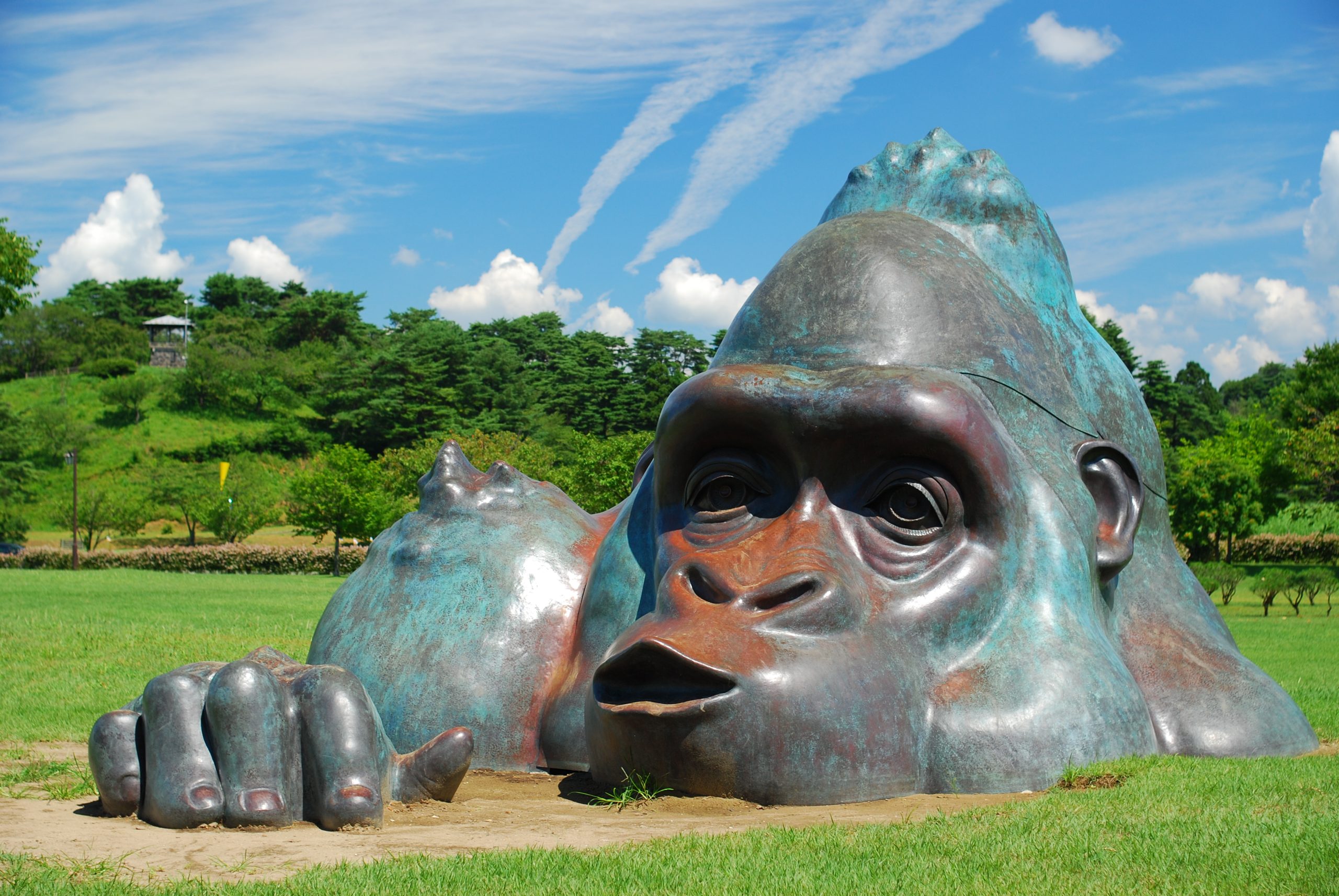 【秋田県井川町】二千本の桜と四季折々の花々が鮮やかに咲き誇る公園の魅力、人気のふるさと納税返礼品とは?