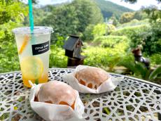 この夏食べたい静岡県「渥美農園」の絶品！こだわりレモンいっぱいのレモンケーキ【旅するデザイナーがおすすめする旅先でのお土産たち！】