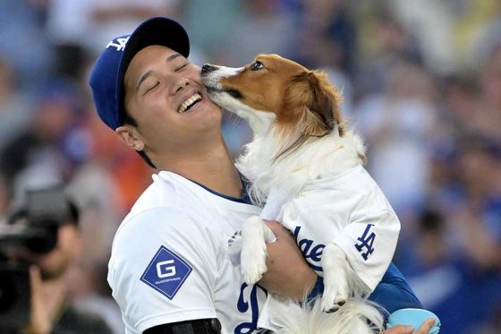 大谷翔平愛犬のとどまらない人気　“米大物”も魅了…なでなで＆クンクン「本当に興奮した」